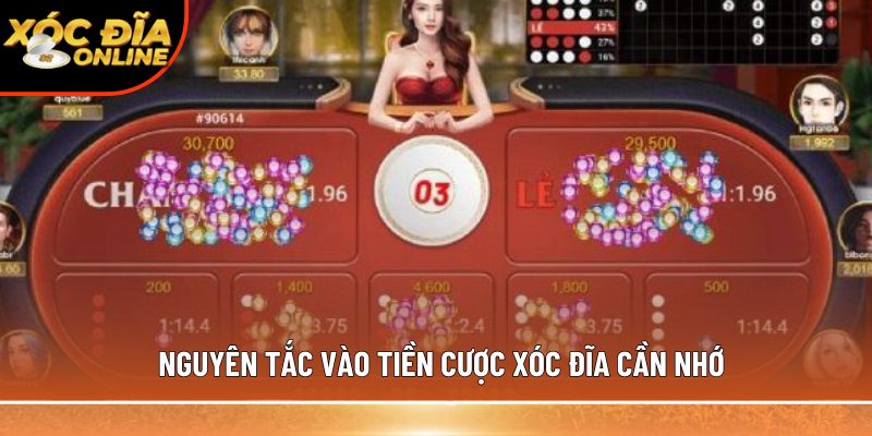 Nguyên tắc vào tiền cược xóc đĩa cần nhớ