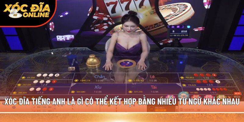 Xóc đĩa tiếng anh là gì có thể kết hợp bằng nhiều từ ngữ khác nhau
