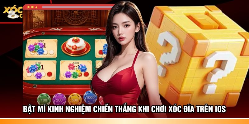 Bật mí kinh nghiệm chiến thắng khi chơi xóc đĩa trên iOS