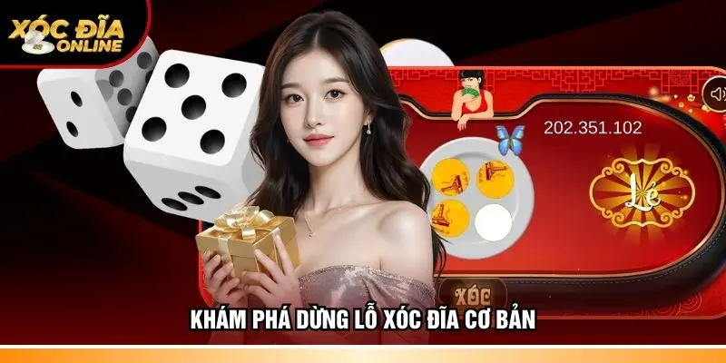Khám phá dừng lỗ xóc đĩa cơ bản